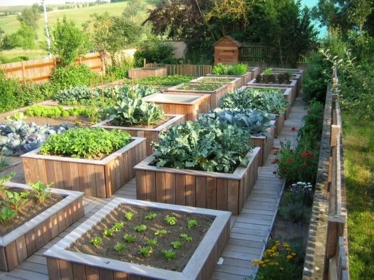 Проект дизайн огород Comment organiser son potager en début d’année ? Vegetable garden design, Potage