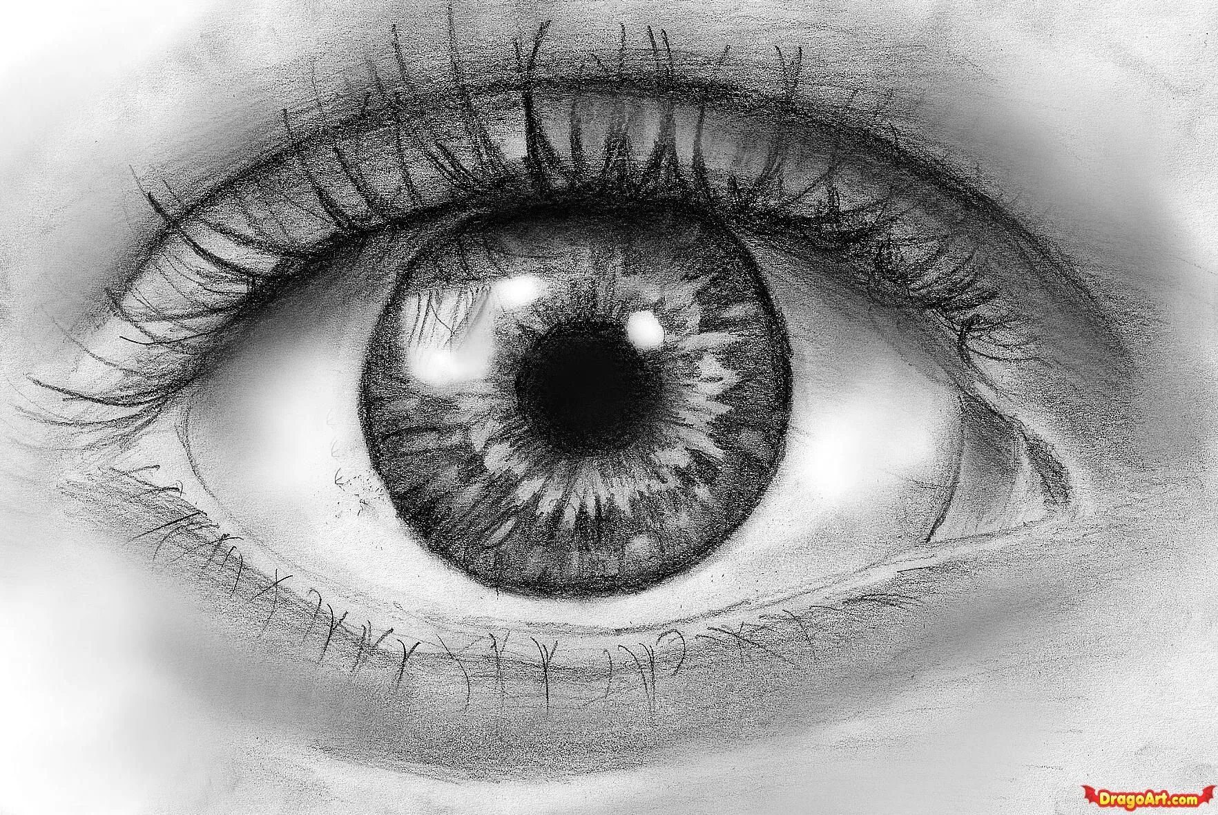 Проект глаза фото How To Draw An Eye In Pencil, Step by Step, Drawing Guide, by artistperson95 Eas