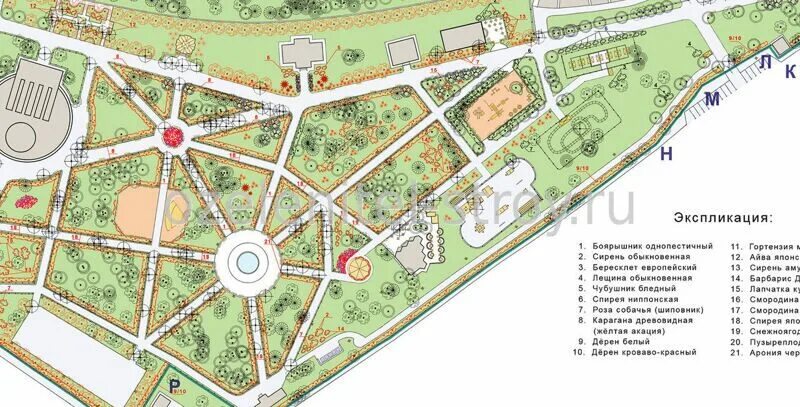 Проект планировки территории парка дендроплан парка