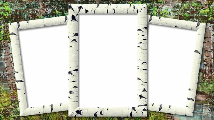 Проект рамка для фото Frame Photo Frame Birch Three Photo Transp Amazones