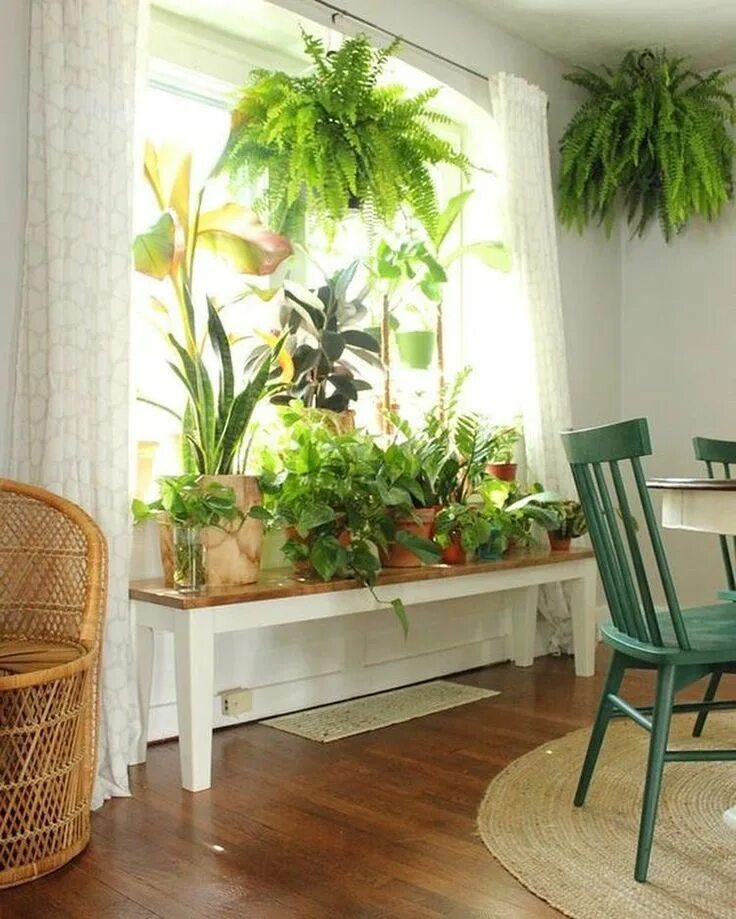 Проект растения интерьере дома Indoor plants improve air quality Room with plants, Plant decor, House plants in