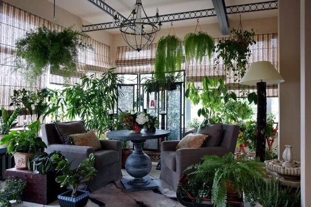 Проект растения интерьере дома Caring for plants in the conservatory and 17 design ideas