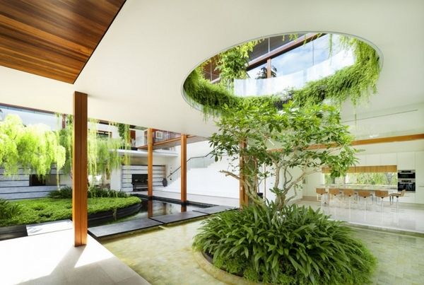 Проект растения интерьере дома Interior gardens - spectacular designs to bring Nature indoors Willow house, Int