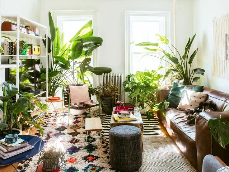 Проект растения интерьере дома 7 ways to create a lush oasis with houseplants Living room plants, Living room p