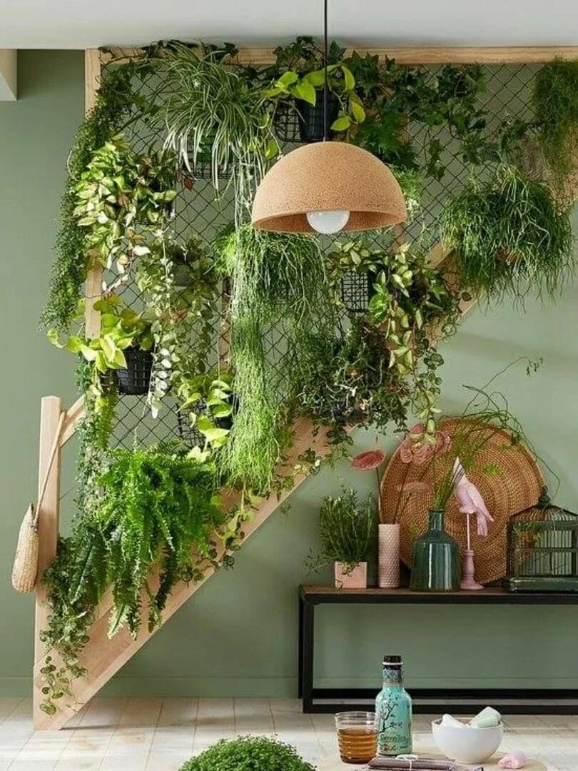 Проект растения интерьере дома Pin by Natalya Popova on Кухня-гостиная Plant decor indoor, House plants decor, 