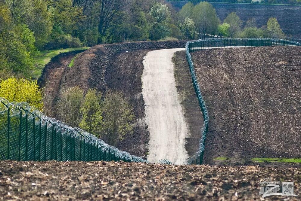 Проект стена фото Записки Колорадского Таракана. Коктейль "Украина": гаплык и зрада в равных долях