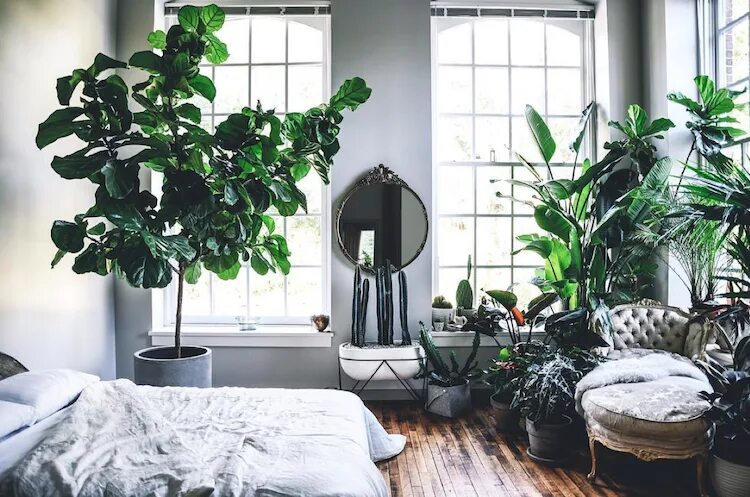 Проекты про растение в интерьере дома An incredible loft, filled with plants! (my scandinavian home) Scandinavian home