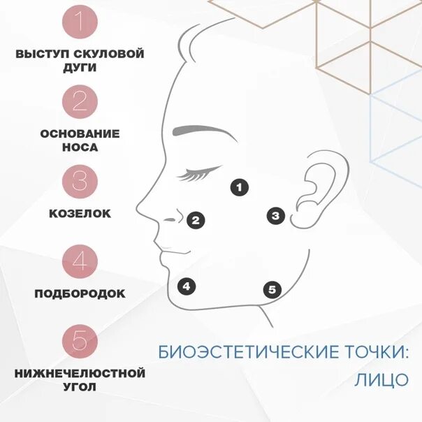 Профайло точки введения фото Эстетическая точка