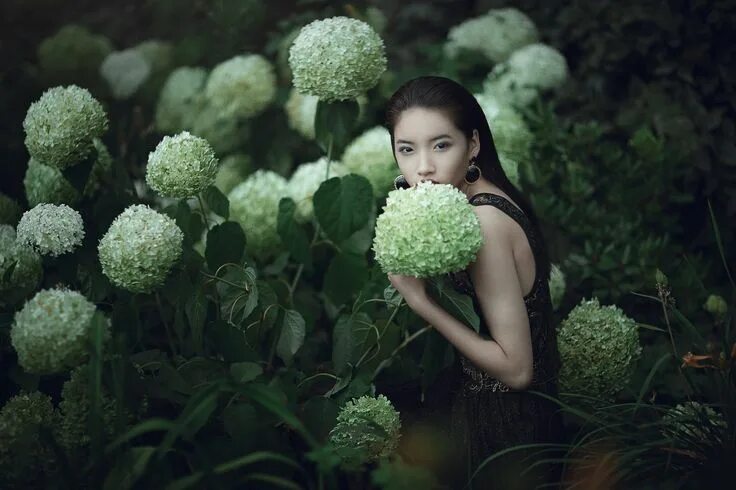 Профессиональные фото в стиле Hydrangea by Pauly Pholwises / 500px Portrait, Old portraits, Portraiture photog