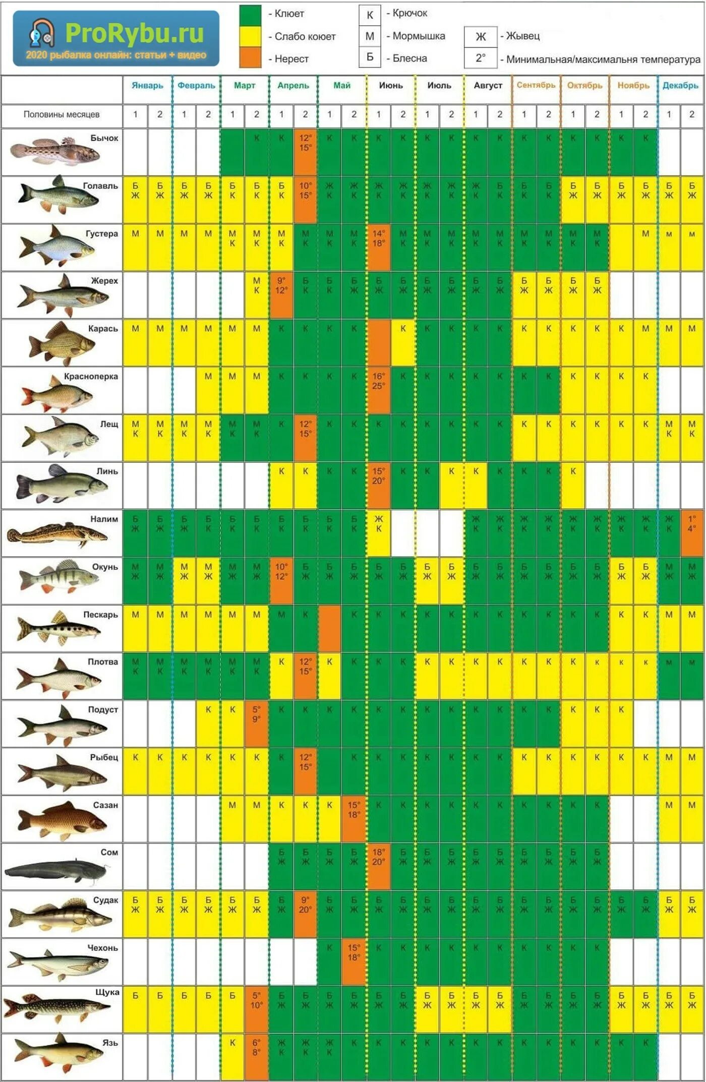 Прогноз клева по лунному календарю Календарь рыбака на 2024 год - Онлайн таблица по месяцам с фазами Луны