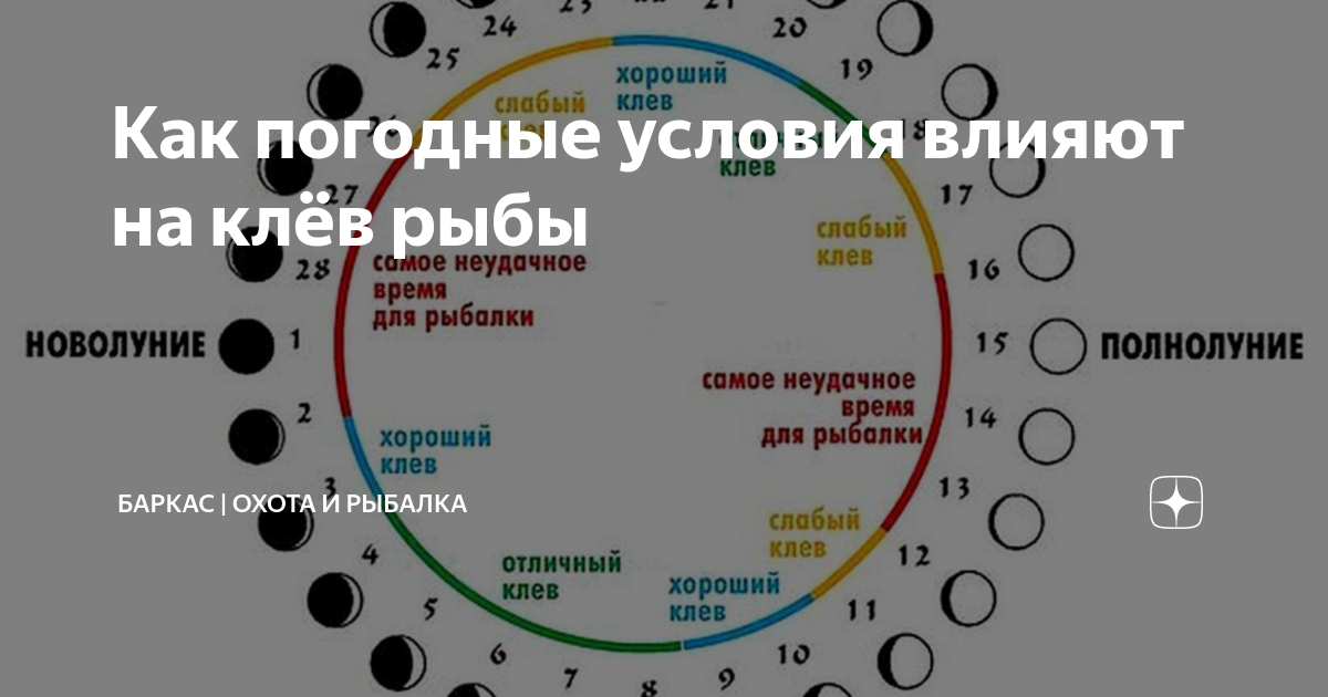 Прогноз клева по лунному календарю Как погодные условия влияют на клёв рыбы Баркас Охота и Рыбалка Дзен