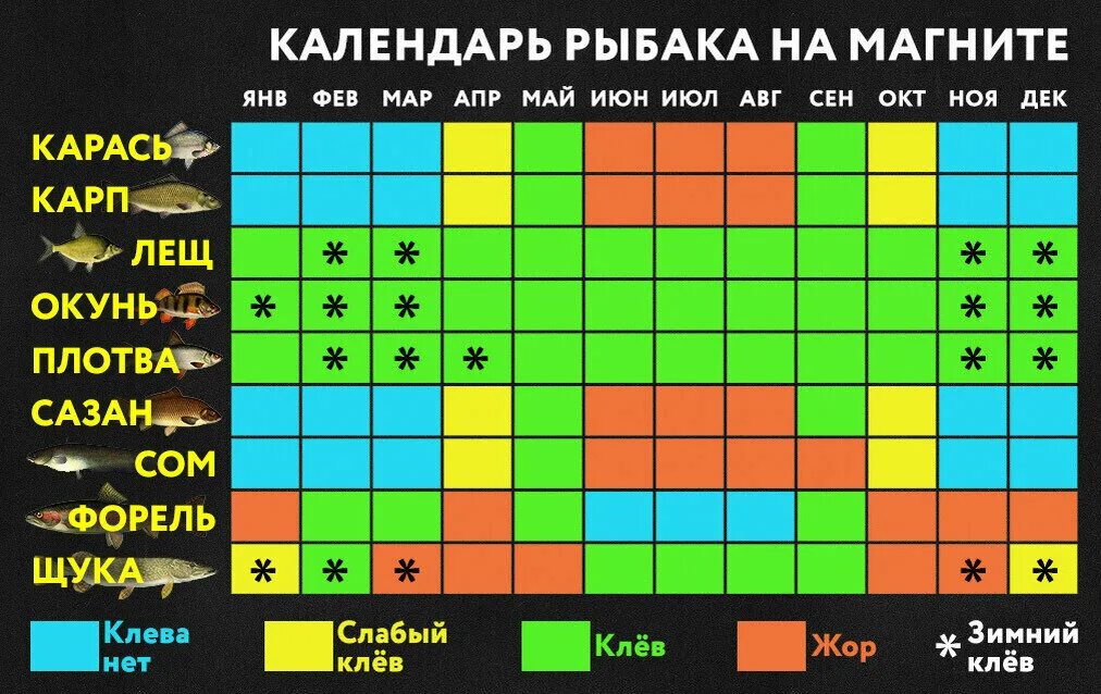 Прогноз клева по лунному календарю Картинки КЛЕВ СУДАКА НА НЕДЕЛЮ