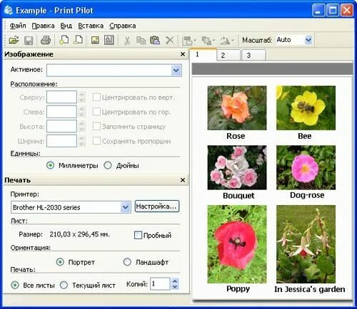 Программа для работы с фото для печати Print Pilot. Обзор программ для компьютера.