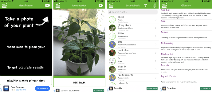 Программа для цветов по фото Как определить растение по фото: 9 мобильных приложений - Fertilizer Daily