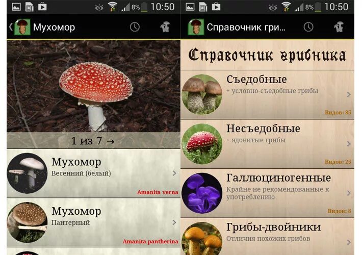 Программа определения грибов по фото ТОП-5 бесплатных приложений для iOS и Android в июле