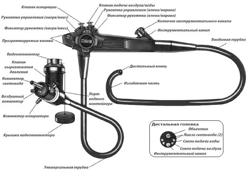 Программа подключения эндоскопа к компьютеру Гастроскопы: устройство, характеристики и области применения