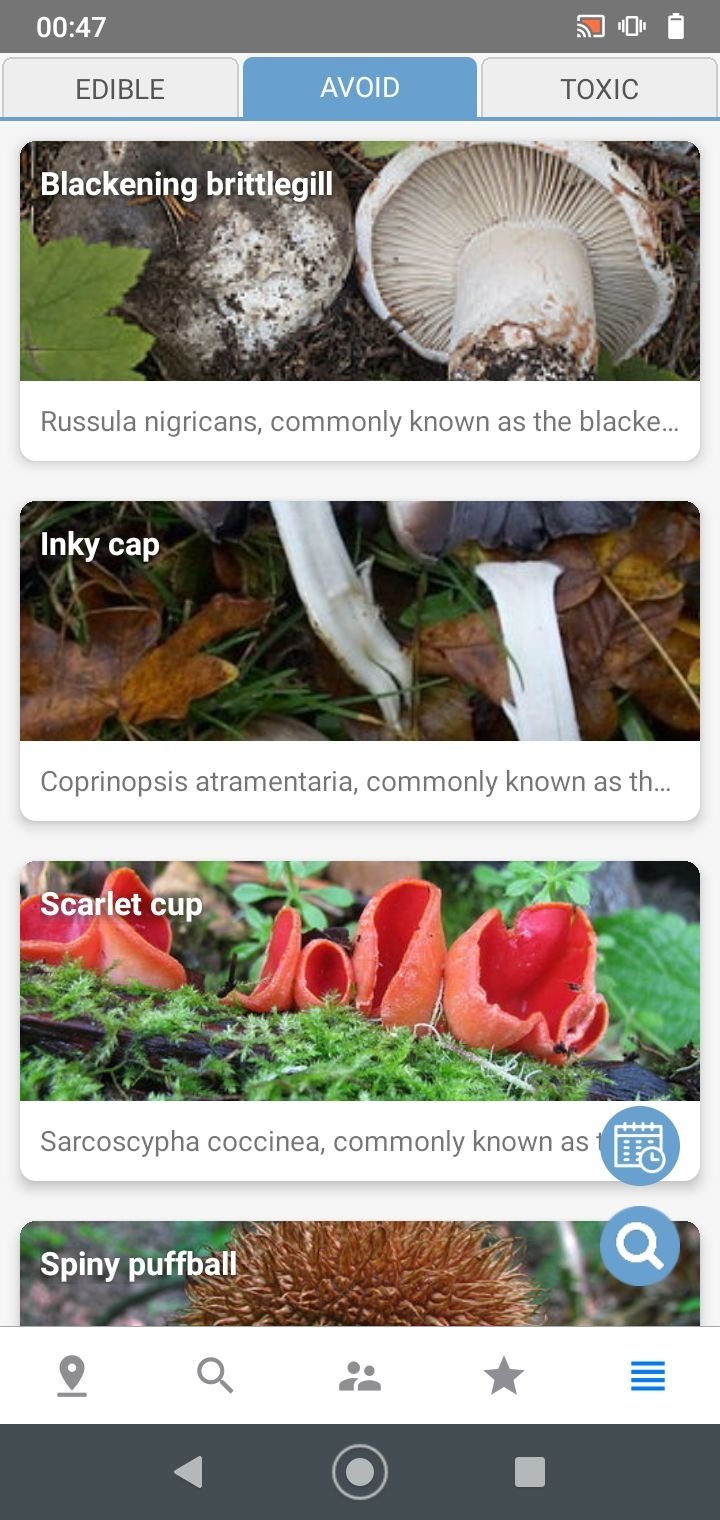 Программа распознавания грибов по фото для андроид Mushroom Identify 2.91 - Скачать для Android APK бесплатно