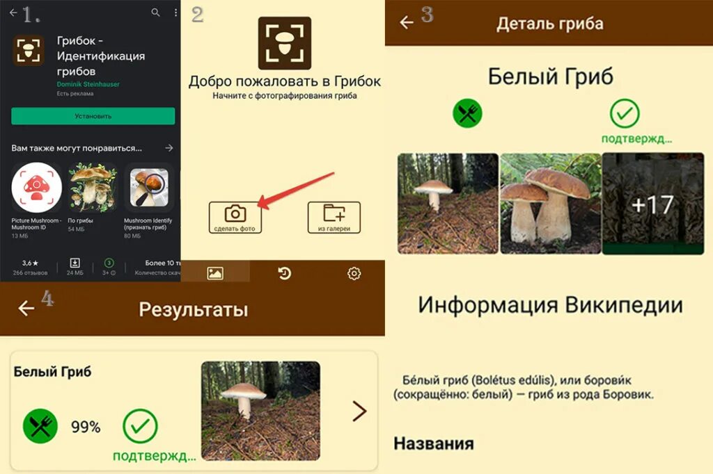 Программа распознавания грибов по фото для андроид Как определить гриб по фото онлайн совершенно бесплатно: обзор лучших способов