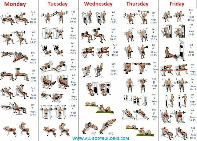 Программа тренировок в тренажерном зале фото Pinterest in 2023 Bodybuilding program, Bodybuilding workout schedule, Bodybuild