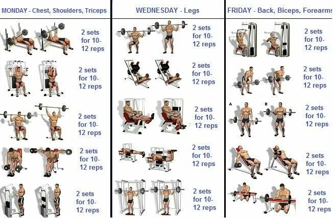 Программа тренировок в тренажерном зале фото Pin on Exercise n’at Weekly workout plans, Weekly gym workouts, Weekly workout