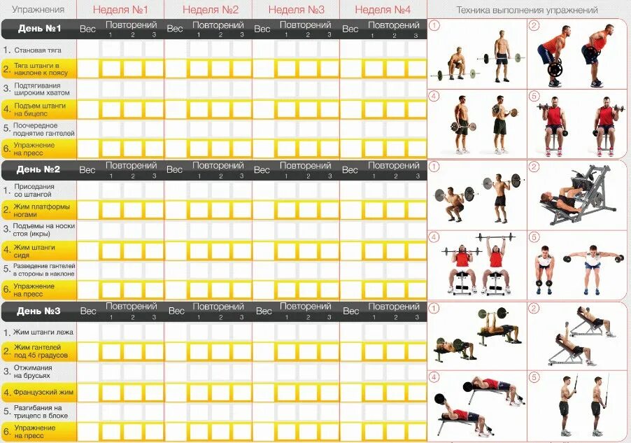 Программа тренировок в тренажерном зале фото Программа тренировки спортсмена