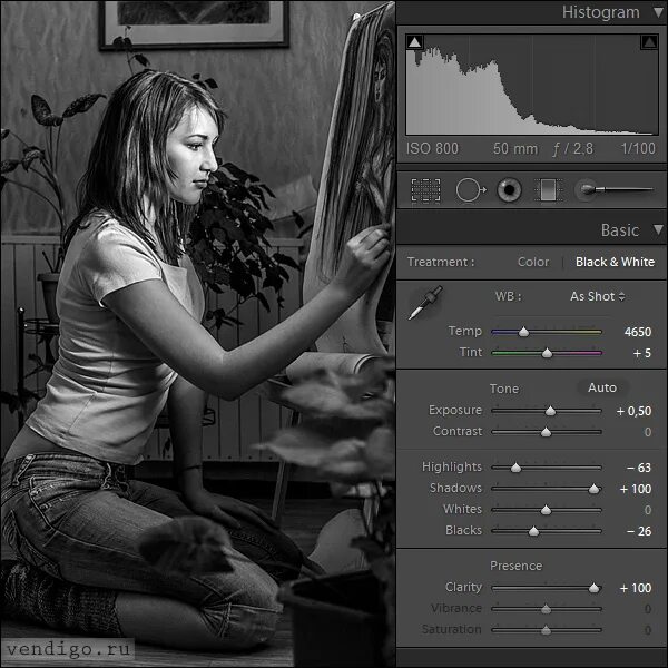 Программы делают черно белые фото Обзор программы Adobe Photoshop Lightroom 4 - ФотоКто