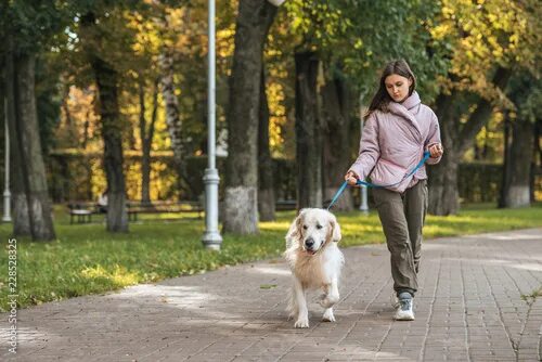 Прогулка с собакой фото young woman walking with guide dog in park Stock 写 真 Adobe Stock