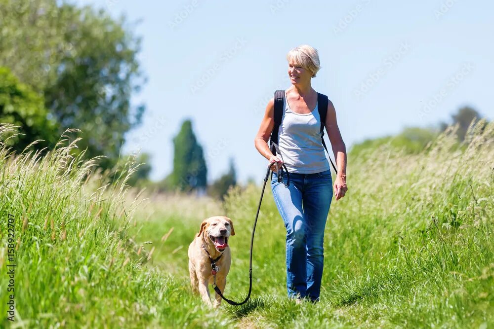 Прогулка с собакой фото mature woman hiking with dog in the landscape Фотографія Stock Adobe Stock