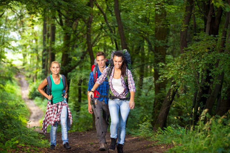 Прогулка в лесу подписать фото Smiling hikers in forest stock image. Image of enjoy - 33254639