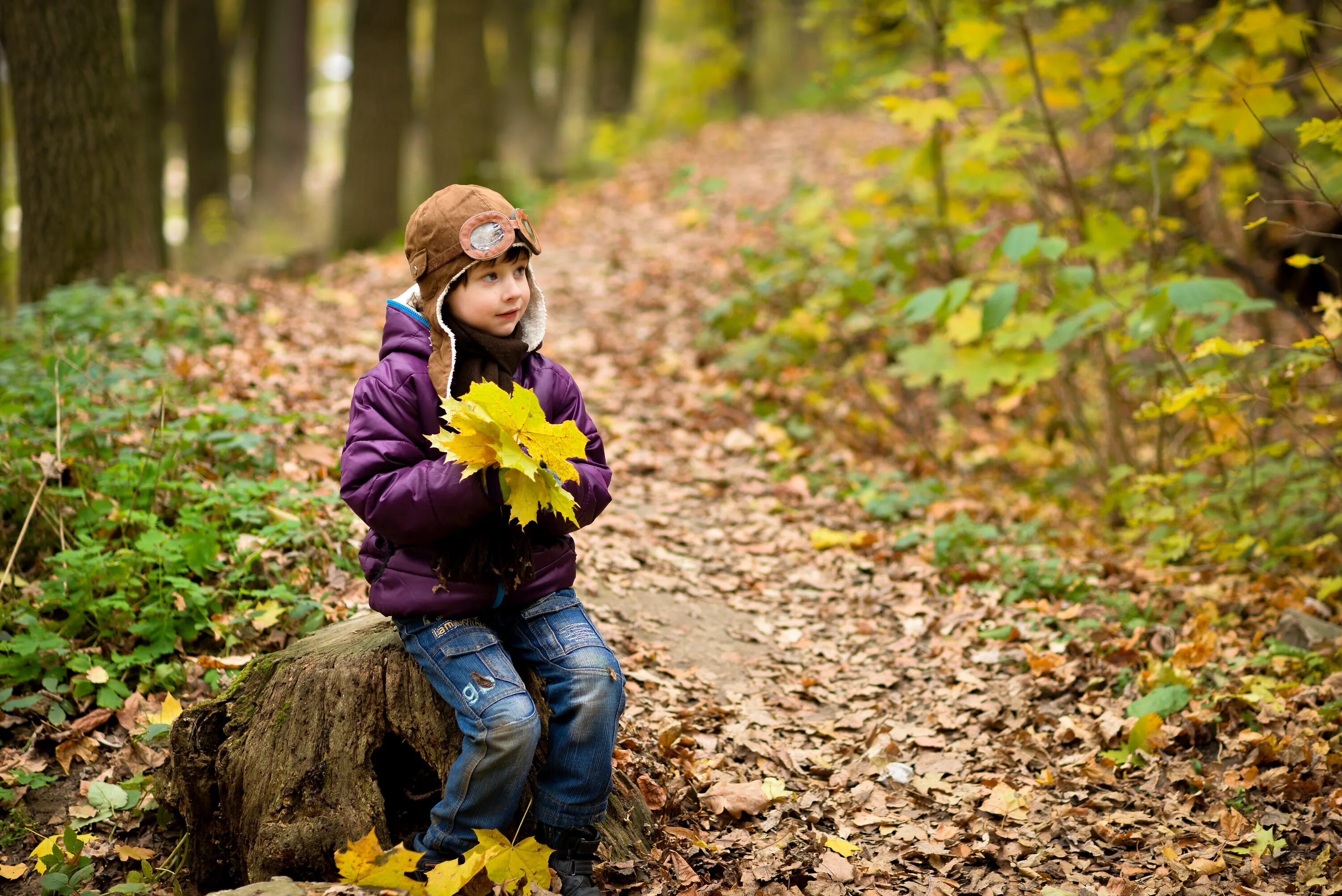 Прогулка в лесу подписать фото Boy Autumn Cap free image download