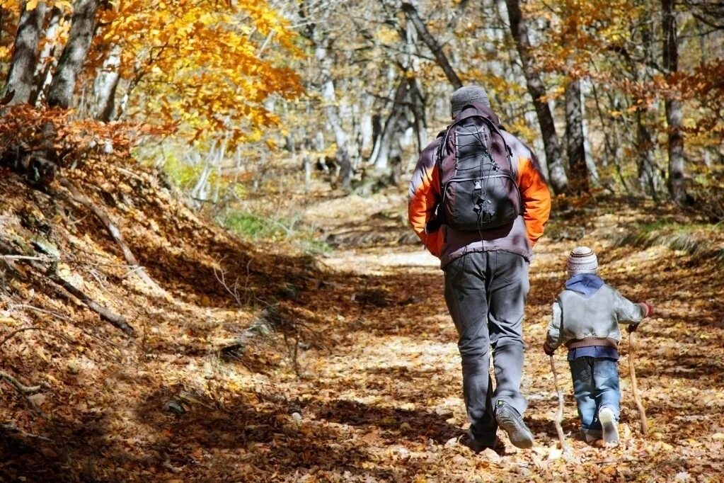 Прогулка в осеннем лесу подписать фото Как выбрать детские кроссовки, 10 советов которые позволят сделать правильный вы