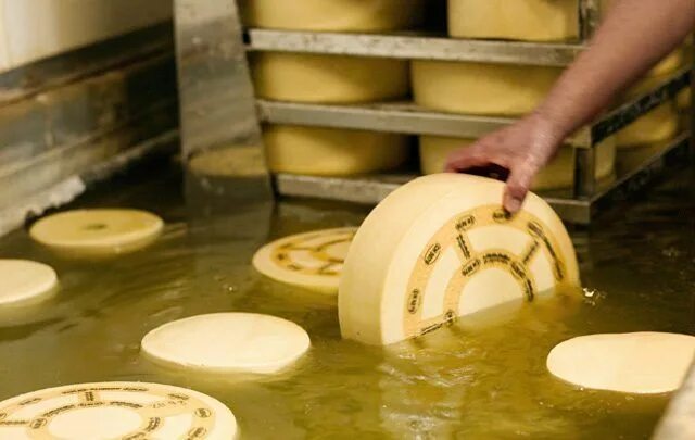 Производство сыра фото El Origen del Queso, *sabes de dónde viene? - El blog de Quesería La Antigua Com