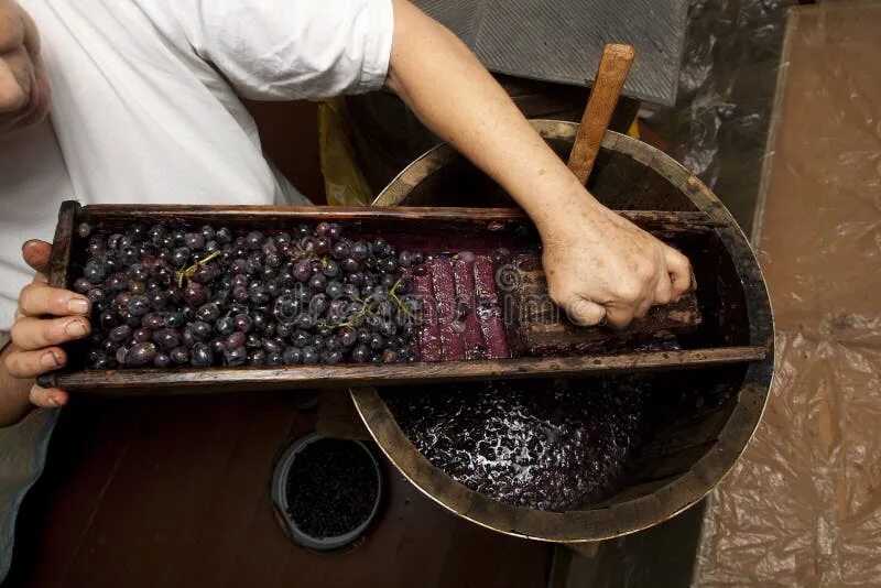 Производство вина фото Process of Wine Making Homemade Winery with Oak Barrel and Wooden Grater Blue Gr