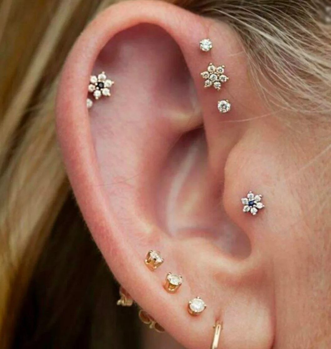 Прокалывание ушей фото 15 idées de piercings pour sublimer vos oreilles Ушной пирсинг, Пирсинг, Пирсинг