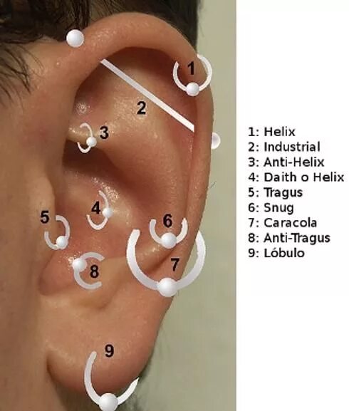 Прокол хряща уха фото Pin on Piercings Earings piercings, Piercings, Cool piercings