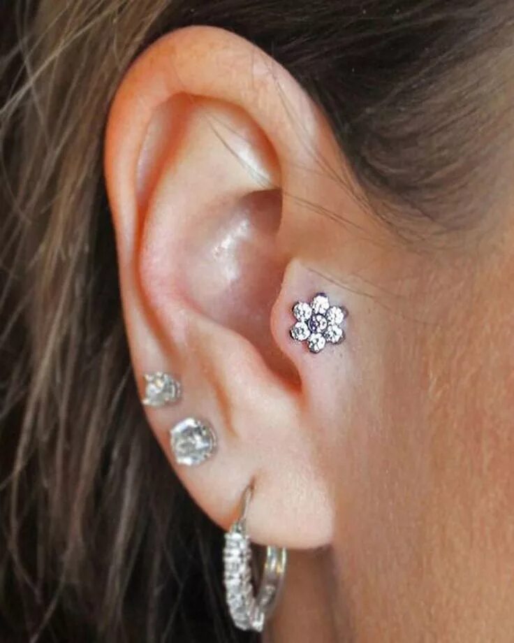 Прокол козелка в ухе фото Jewl Swarovski Crystal Flower 16G Barbell Stud Earings piercings, Ear piercings,