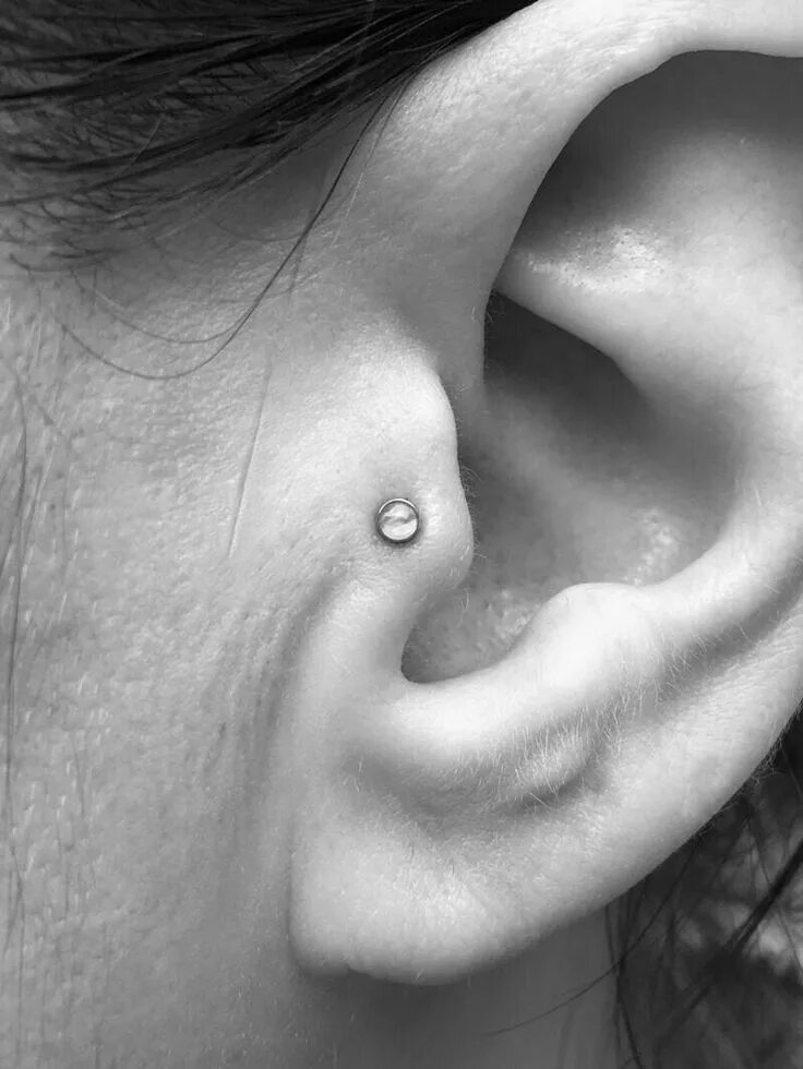 Прокол козелка в ухе фото Pin by Miguelita Moore on ear piercings Nose ring, Ear piercings, Piercings