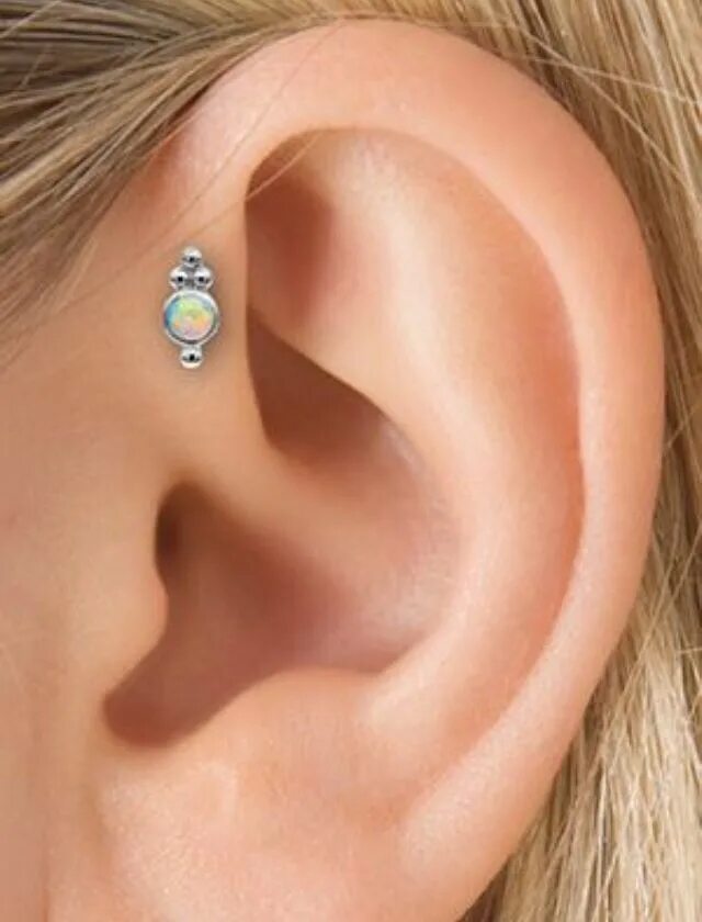 Прокол козелка в ухе фото Really like this jewelry ! Need it for my forward helix. Joyería para el cuerpo,