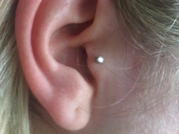 Прокол козелка в ухе фото And this!!!! What to get!?!?!?!? Ear piercings tragus, Tragus piercings, Ear pie