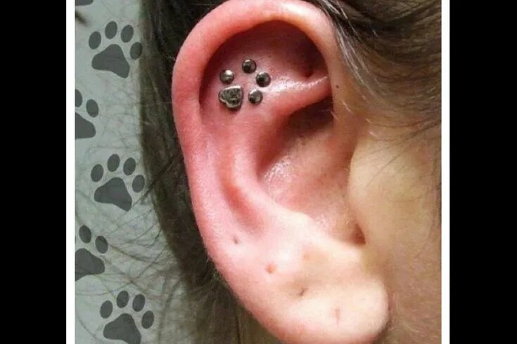 Прокол уха флэт фото Pin by Lia Lee on Piercing and Tattoos Earings piercings, Cute ear piercings, Co