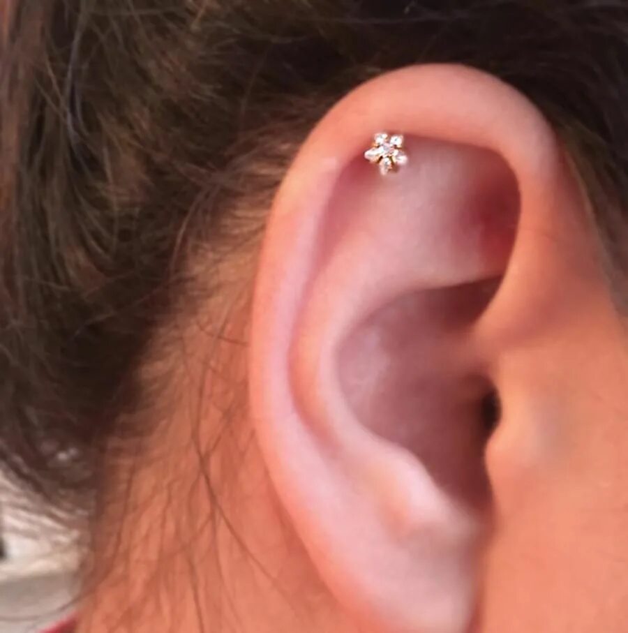 Прокол уха сверху фото Lucky Swarovski Star Ear Piercing Star earrings stud, Earings piercings, Tragus 