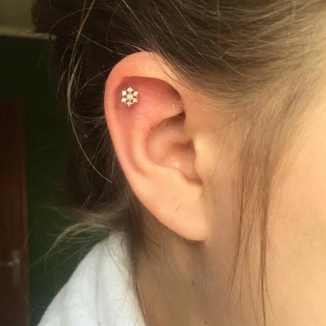 Прокол уха сверху фото Pin on piercings que eu quero mais falta coragem Ear piercing studs, Earings pie