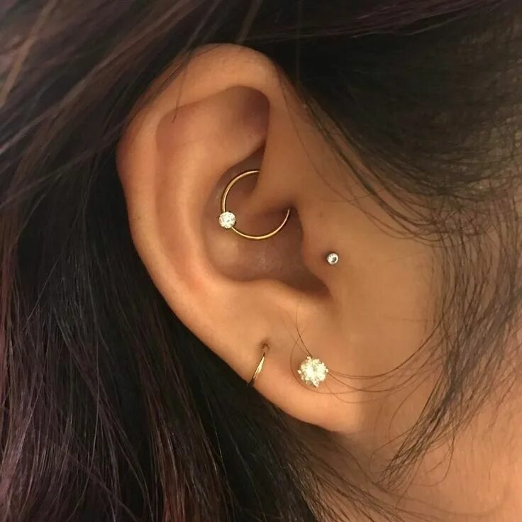 Прокол уха трагус фото tragus e daith Piercings orelha feminino, Orelha com brincos, Piercings corporai