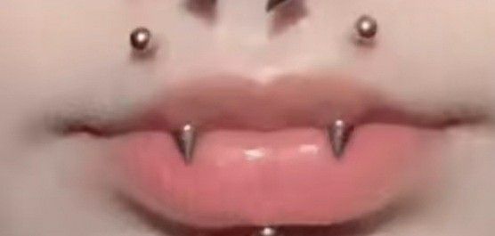 Прокол укус ангела фото Pin on piercings Lip piercing jewelry, Mouth piercings, Face piercings