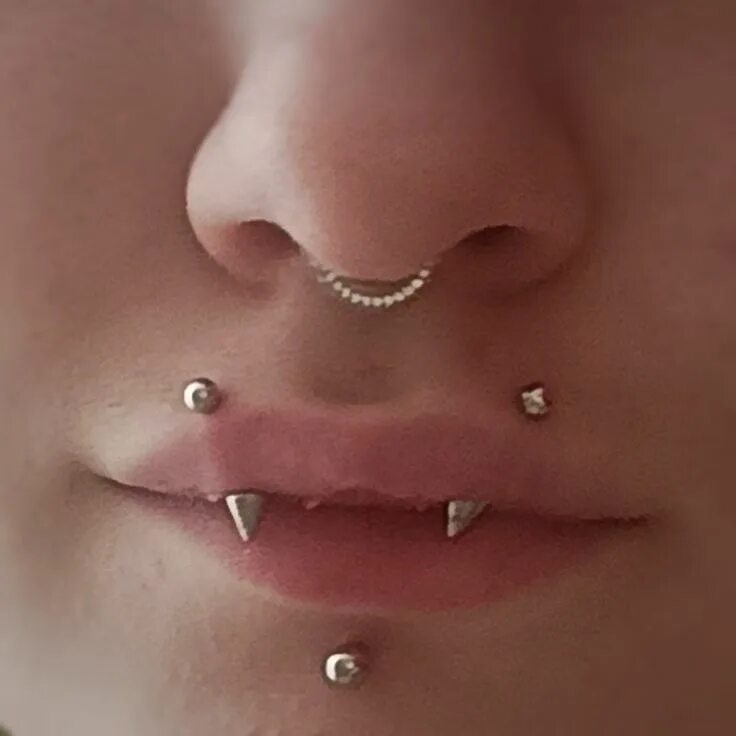 Прокол укус змеи фото пирсинг, септум, лабрет, укус змеи Mouth piercings, Emo piercings, Face piercing