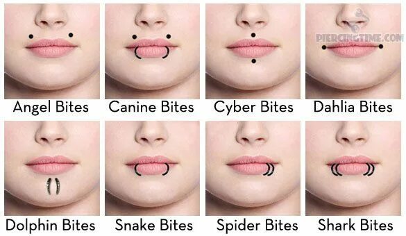 Прокол укус змеи фото Lip Labeling Mouth piercings, Face piercings, Facial piercings