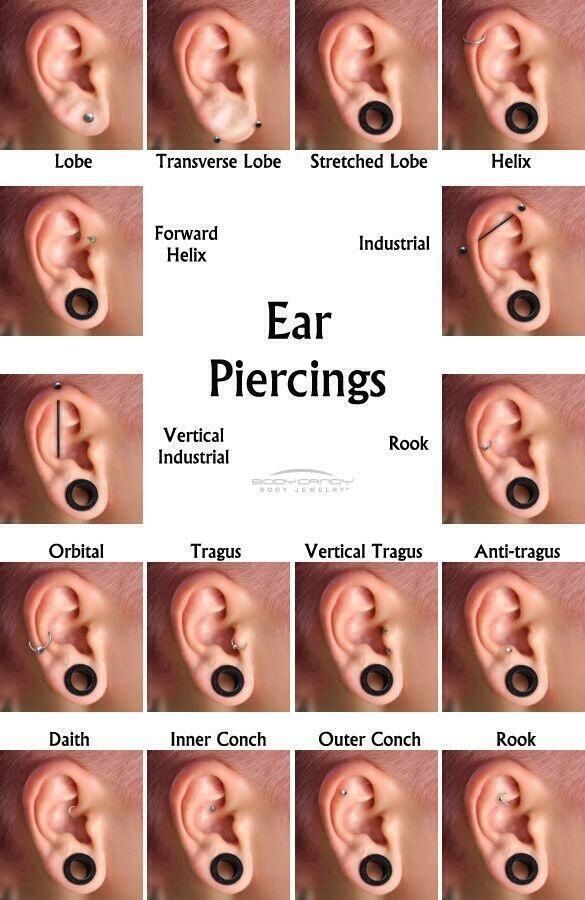 Pin by Ellen Stringer on Piercings Ear piercings chart, Earings piercings, Belly