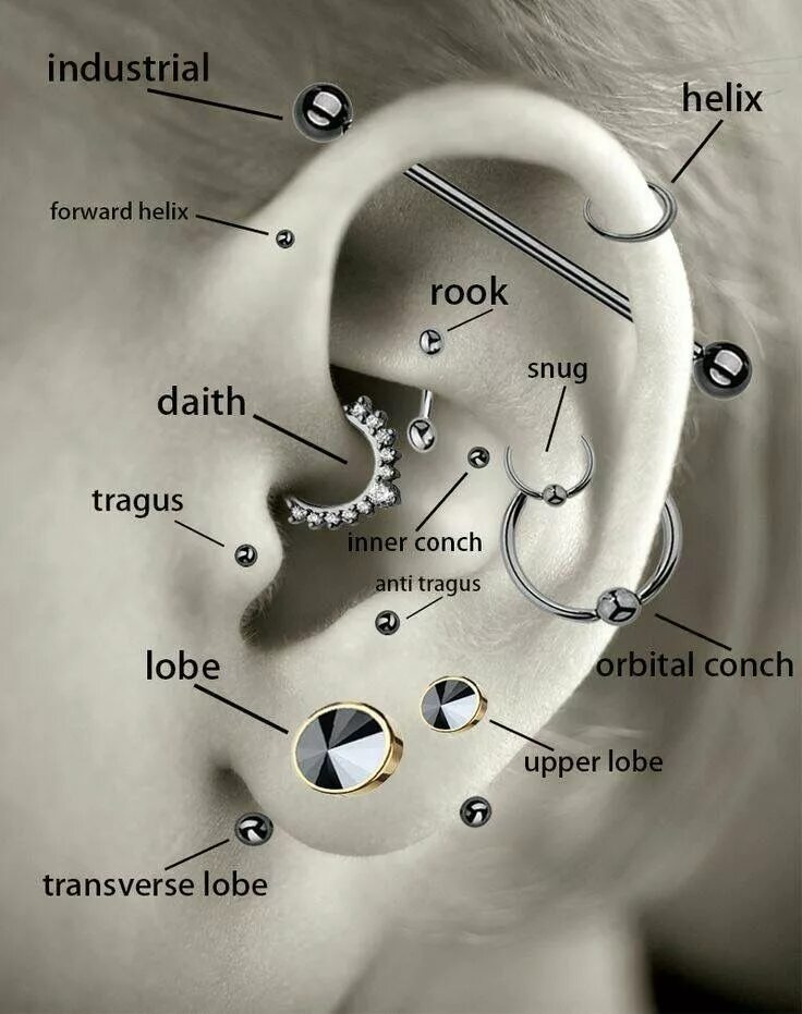 Прокол ушей как называется все виды фото Pin on Tattoo Ideas Ear piercing diagram, Ear piercings, Cool ear piercings