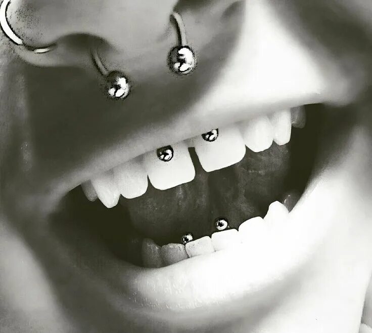 Прокол уздечки верхней фото Nose, septum, smiley, and frenulum piercing Frenulum piercing, Piercing, Nose ri