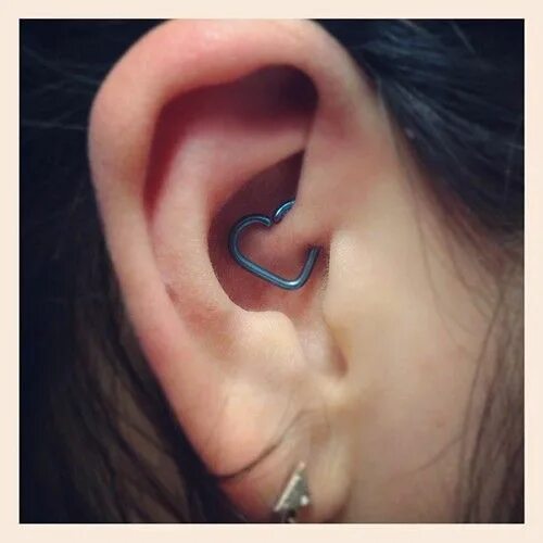 Проколола сердце шпилькой фото в ленту daith 3 Ear piercings, Earring trends, Ear peircings